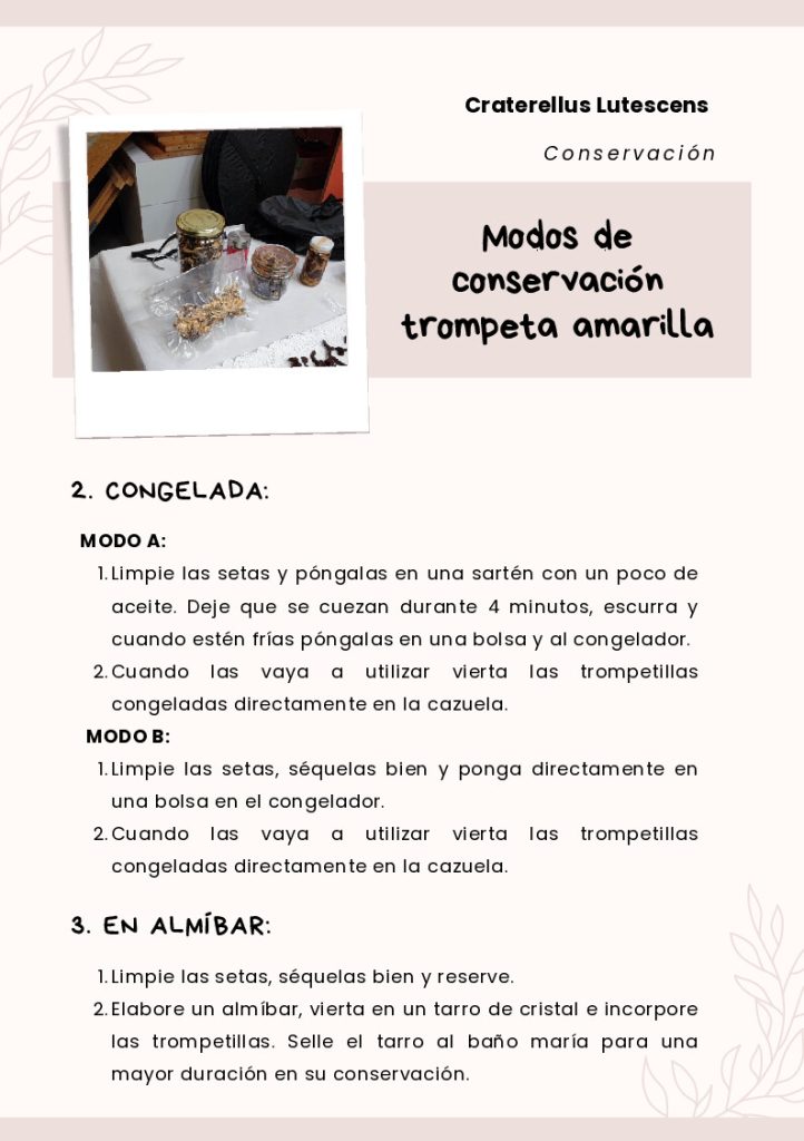 conservación página 2
