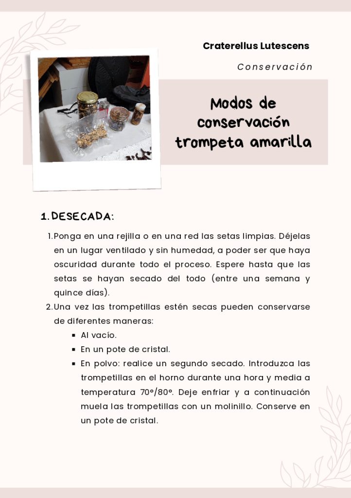 Modos de conservación de trompeta amarilla