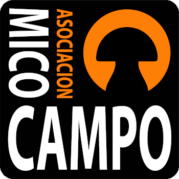 MicoCampo